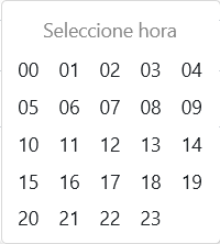 selección de hora